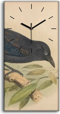 Produktbild von Wandbild Leinwand Bilder Wanduhr 30x60 Vögel Wild Tiere Zeichnung Kunst - schwarze Hände