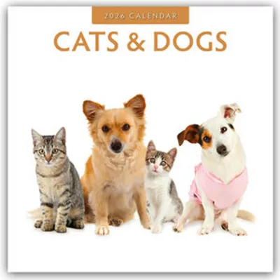 Produktbild von Cats & Dogs 2026 Square Wall Calendar
