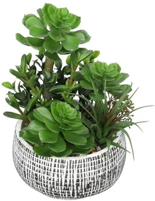 Immagine prodotto di Piante grasse artificiali in vaso di Vetroceramica, 24,5 cm, decorazione per tavola e bagno