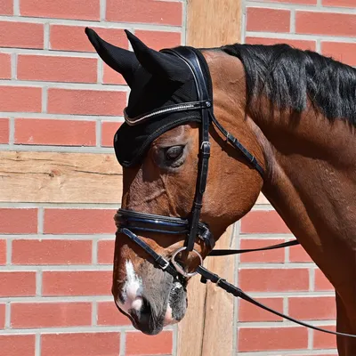 Produktbild von BUSSE Fliegenhaube Fly-Air Mesh Schwarz Full