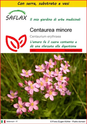 Immagine prodotto di SAFLAX Insieme di coltivazione - Centaurea minore - 250 semi - Centaurium