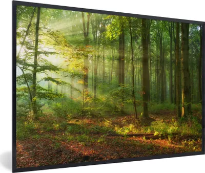 Produktbild von MuchoWow® Gerahmtes Poster Sonne - Wald - Bäume - Natur - Herbst 90x60 cm - Poster mit Schwarzem Bilderrahmen Wandposter Rahmen Foto Bilder - Fotorahmen - Foto-Plakat