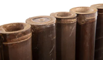 Produktbild von Bambus-Paravent, schwarz, 60-90 mm, 180 x 90 cm