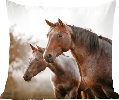 Produktbild von MuchoWow® Zierkissen Sofakissen Wohnzimmer Dekokissen 60x60 cm Pferde - Natur - Braun - Sitzfläche - Foto Polster