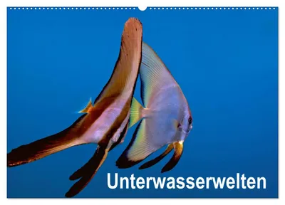 Produktbild von Unterwasserwelten (Wandkalender 2027 DIN A2 quer), CALVENDO Monatskalender