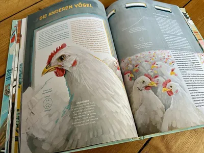 Obrázek produktu pro Die Welt in einer Eierschale