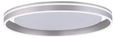 Image de Paul Neuhaus 8416-55 Paul Neuhaus Q-VITO Smart Home Deckenleuchte silber 39 W