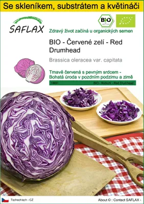 Obrázek produktu pro SAFLAX Kultivační sada - BIO - Červené zelí - Red Drumhead - Brassica oleracea var. capitata - 250 Semena - S mini skleníkem, pěstebním substrátem a 2 květináči