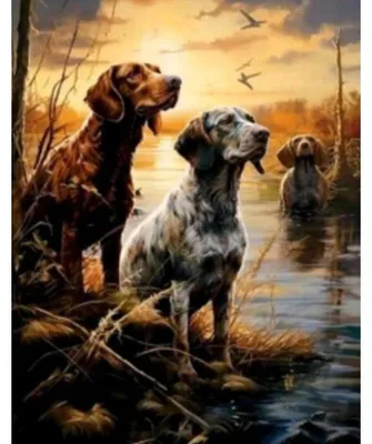 Produktbild von NORIMPEX Diamantov Kleiner Ofen Feuchtgebiete 30x40cm
