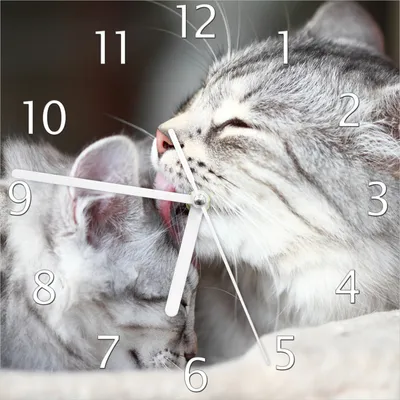 Produktbild von Wallario Design Wanduhr Süße kleine getigerte Katzenbabys aus Echtglas, Größe 20 x 20 cm