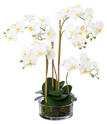 Produktbild von Kunstblume Phalaenopsis ca. 60cm. Orchidee im Glastopf. Weiß