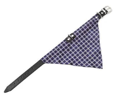 Produktbild von Karlie KOLIBRI Halsband - Blau - 25 mm, 62 cm