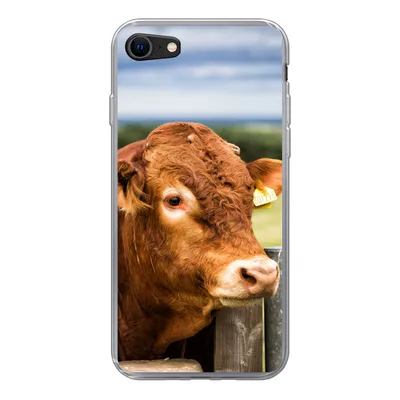 Produktbild von MuchoWow® Handyhülle Schutzhülle Hülle für iPhone SE 2020 Schottischer Highlander - Berg - Zaun Silikon Softcase Handy Hülle - Kartenbesitzer
