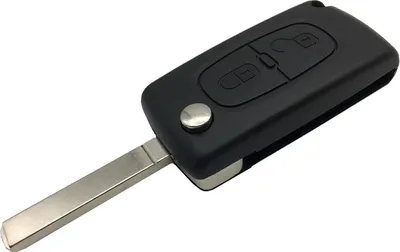 Immagine prodotto di INF Guscio chiave auto per Peugeot Citroen 2 pulsanti