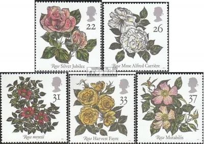 Produktbild von Briefmarken Großbritannien 1991 Mi 1345-1349 (kompl. Ausg.) postfrisch Rosenzucht