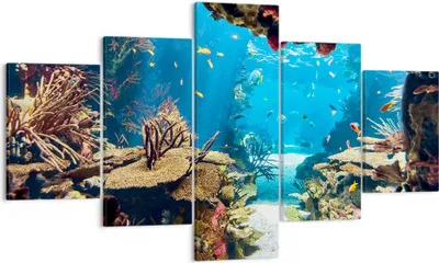Produktbild von Bild auf Leinwand - Leinwandbild - Ozean Riff Fische Koralle - 125x70cm - Wand Bild - Wanddeko - Leinwanddruck - Bilder - Kunstdruck - Wanddekoration - Leinwand bilder - Wandkunst - EA125x70-2872