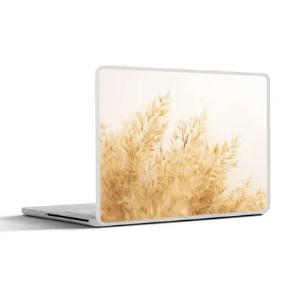 Produktbild von MuchoWow® Laptop Aufkleber Sticker Cover Pampasgras - Sonne - Gras 36.5x27.5 cm - Laptop-Sticker