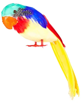 Obrázok produktu pre Boland 52354, Dekorácia, Feather, Polystyrén, Viacfarebný, 41 g, 100 mm, 300 mm