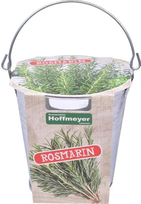 Produktbild von Rosmarin im Mini-Zinkeimer
