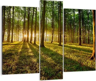 Produktbild von Bild auf Leinwand - Leinwandbild - Wald grün Sonnenstrahlen Natur - 95x80cm - Wand Bild - Wanddeko - Leinwanddruck - Bilder - Kunstdruck - Wanddekoration - Leinwand bilder - Wandkunst - CB95x80-2510