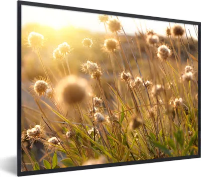 Produktbild von MuchoWow® Gerahmtes Poster Pflanzen - Natur - Blumen - Sonne - Horizont 80x60 cm - Poster mit Schwarzem Bilderrahmen Wandposter Rahmen Foto Bilder - Schwarzem - Mit Gestell