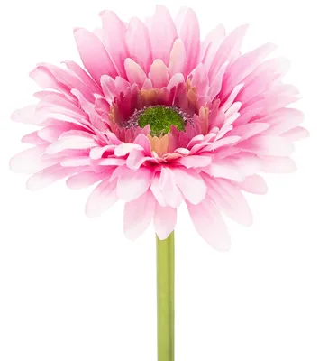 Produktbild von Künstliche Gerbera Deko-Blume für stilvolle Arrangements, 6 Stück
