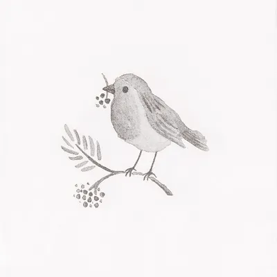 Productafbeelding van Clayre & Eef servetten, papier, set van 20, 33x33 cm, wit, met vogelmotief