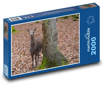 Zdjęcie produktu dla martinpuzzle - Puzzle 2000 - Sarna pod drzewem