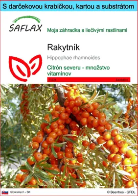 Obrázok produktu pre SAFLAX Darčeková sada - rakytník - Hippophae rhamnoides - 40 Semená - S darčekovou krabičkou, prepravným štítkom, darčekovou kartou a pestovateľským médiom