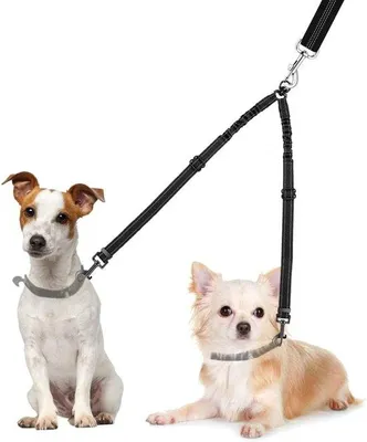 Obrázok produktu pre Dvojité vodítko pre psov s otočným mechanizmom o 360° pre dvoch psov – nastaviteľné vodítko s tlmiacim bungee lanom a reflexnými prvkami