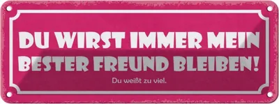 Produktbild von vianmo Blechschild 10x27 cm du immer mein bester Freund Familie Freunde