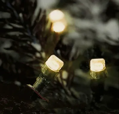 Produktbild von LED-Lichterkette mit Timer und Fernbedienung 3m 40 LEDs Warmweiß