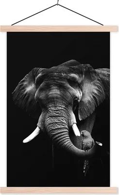 Produktbild von MuchoWow® Textilposter Elefant mit Papagei vor schwarzem Hintergrund - schwarz und weiß 120x180 cm mit holzfarbenen Rahmen - Textil-Plakat