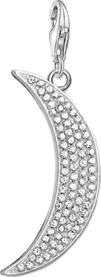Produktbild von Thomas Sabo - Y0009-051-14 - Charm - Uni - 925er Silber