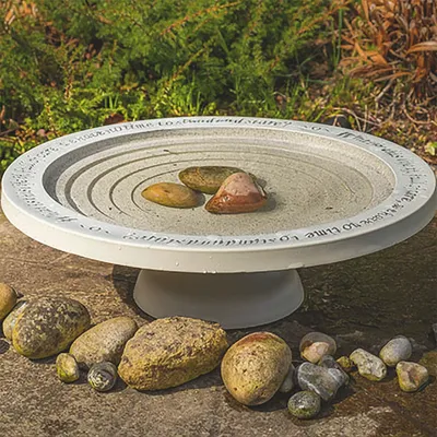 Produktbild von Wildlife World Shenstone Vogeltränke und Tränkenteller - aus nachhaltigen Materialien