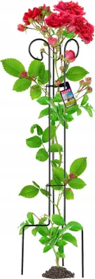 Produktbild von KADAX Rankhilfe aus Stahl, freistehende Pflanzenstütze für Rosen, Kletterpflanzen, Efeu, Garten