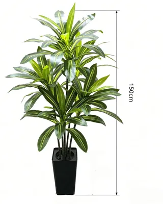 Immagine prodotto di Dracaena artificiale - Albero artificiale alto 150 cm - Yucca tropicale da interno in vaso - Con vaso nero - Decorazione per soggiorno o ufficio - Verde