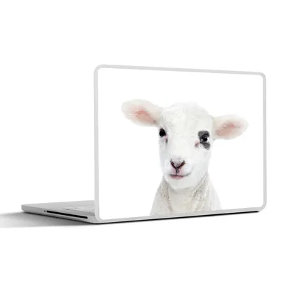 Produktbild von MuchoWow® Laptop Aufkleber Sticker Cover Lamm - Weiß - Tiere - Natur 25x18 cm - Laptop-Deko