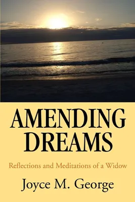 Produktbild von Amending Dreams