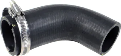 Immagine prodotto di Tubo flessibile dell'aria di carica
