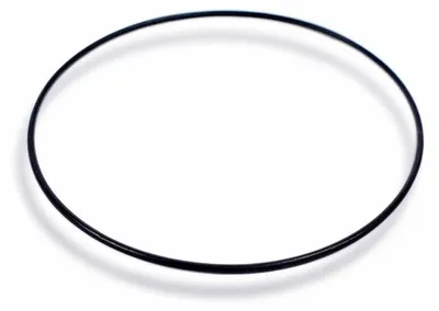 Produktbild von Casio O-Ring  Dichtungsring schwarz Bodendichtung 74207539