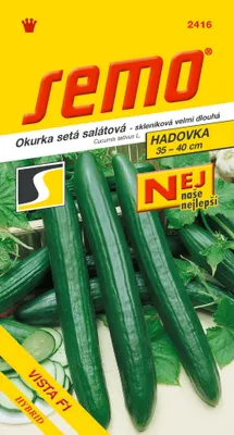 Produktbild von Semo SALATGURKE 'VISTA' F1