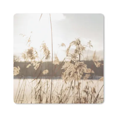 Produktbild von MuchoWow® Mauspad Mousepad Wasser - Pampasgras - Pflanzen 30x30 cm - Mousepads - Maus Mat - Pad - Mausunterlage - Gaming