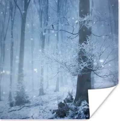 Produktbild von MuchoWow® Poster Wald - Winter - Schnee 75x75 cm - Wand Dekoration