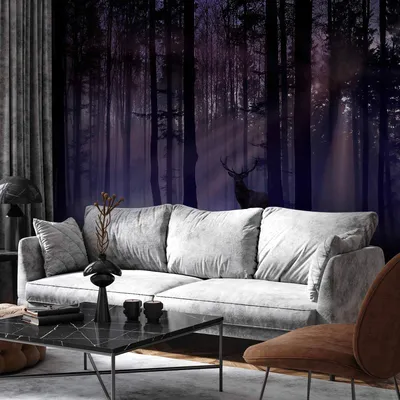 Produktbild von Vlies Fototapete - Mystical Forest - Second Variant 400x280 cm Landschaften c-C-0431-a-c