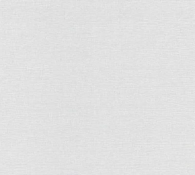 Obrázek produktu pro A.S. Création netkaná tapeta Meistervlies Pro Protect 2, bílá, malovatelná, 10,05 m x 0,53 m, 246011, 2460-11