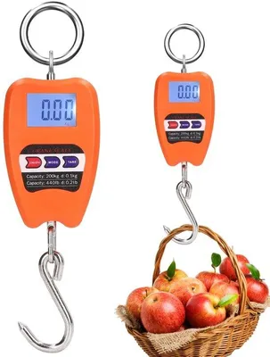 Immagine prodotto di Mini bilancia digitale da 200 kg, elettronica, per il peso dei bagagli, la caccia, la fattoria, la pesca