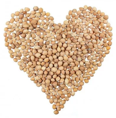 Produktbild von Kirschkerne als Füllmaterial für Kissen, natürliche Füllung, 5 kg