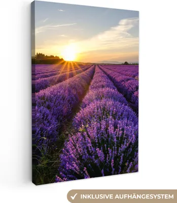 Produktbild von MuchoWow® - Leinwandbilder - Lavendel - Blumen - Sonnenuntergang - Lila, Wandbild, Wanddeko Bilder Wohnzimmer, 40x60cm