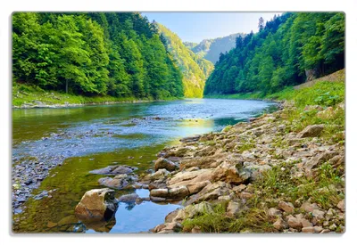 Produktbild von Wallario Frühstücksbrettchen aus Glas 20 x 30 cm mit rutschfesten Füßen, Motiv Fluss in den Bergen an steinigem Ufer